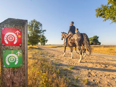 Dwingelderveld Dagroute Rood