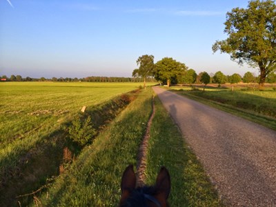 Haaksbergen - Buurse - Rutbeek Dagtocht