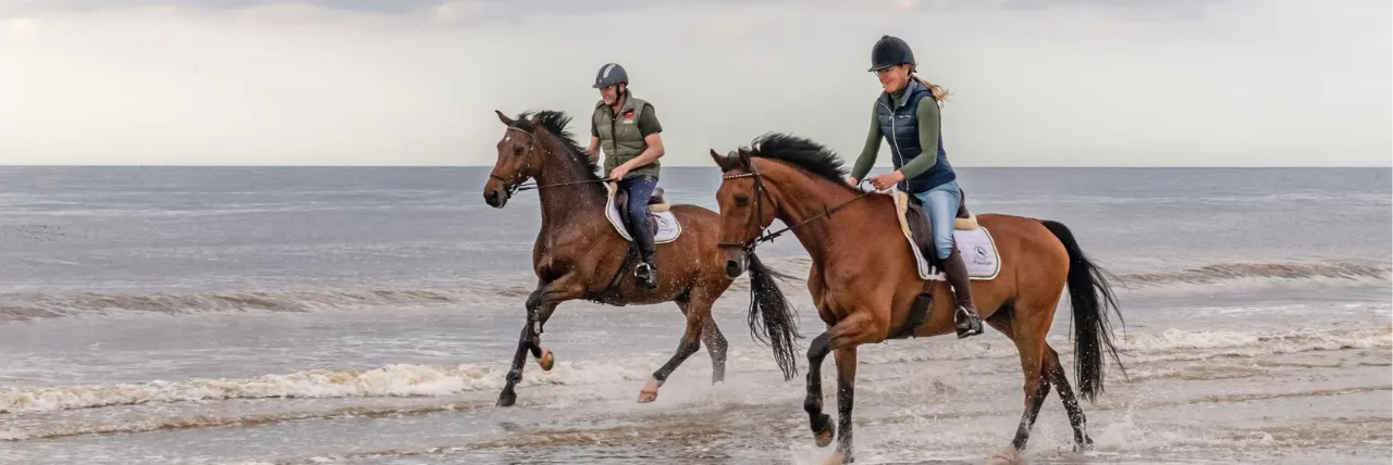 Buitenrit op heide