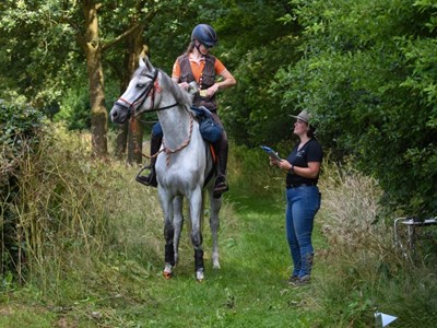 TREC Schaijk T0 t/m T4, Nederlands Kampioenschap