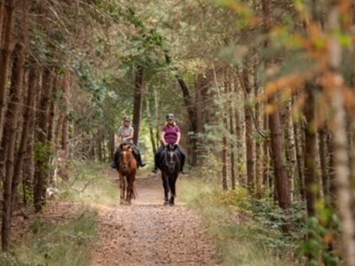 De Ermelose Paarden Tweedaagse