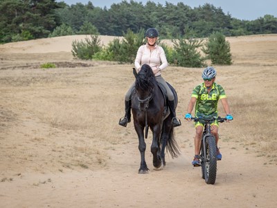 Dagtocht Forest Inn Ugchelen- Kootwijk