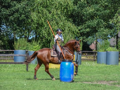 TWE Posterholt, Bixie t/m Z masters