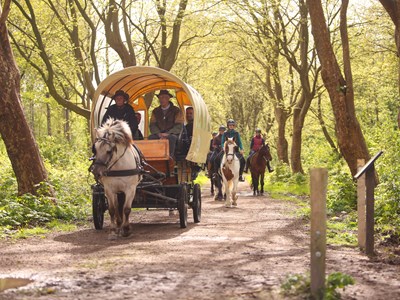 Het Hollandse Hout in Lelystad