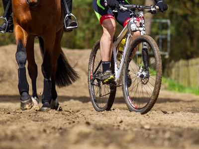 Ride and Run 2025 Concours Hippique Bennekom