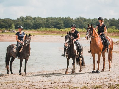 Hoeve Heide & Wold