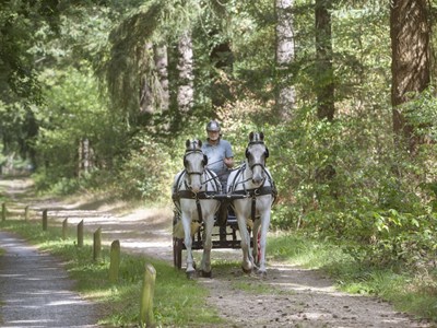 De Kolonieroute