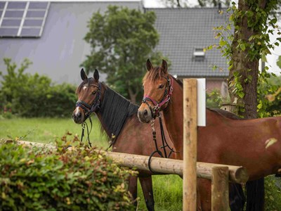 De Heide en Wold route met horecarustpunt