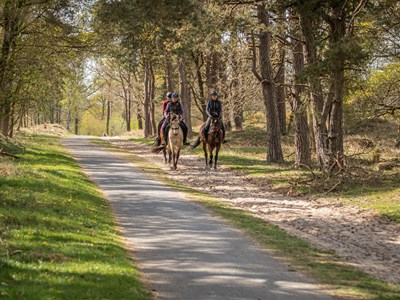 De Heide en Wold route